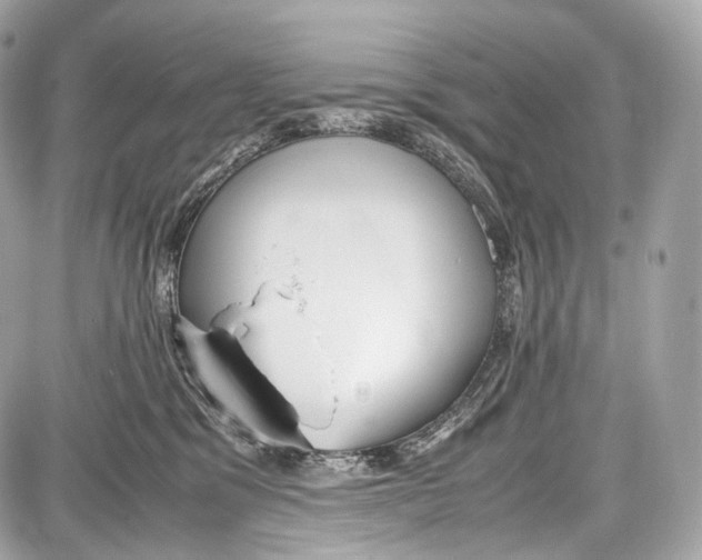 X0000086960329200705141632