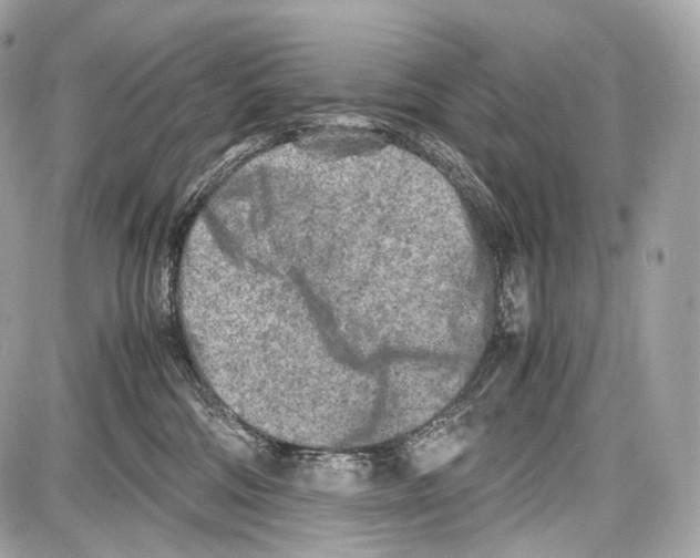 X0000086960330200705141632