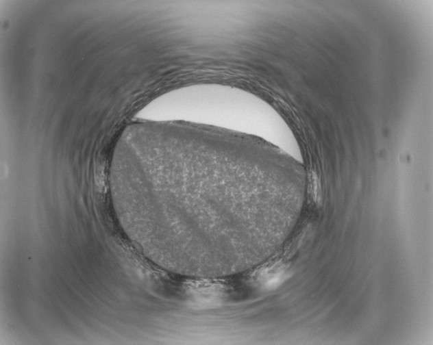 X0000086960331200705141632