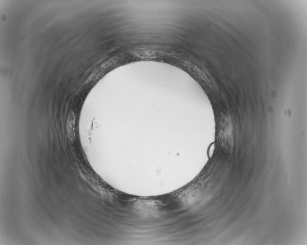 X0000086960332200705141632