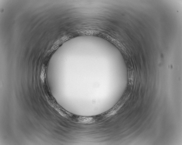 X0000086960334200705141632