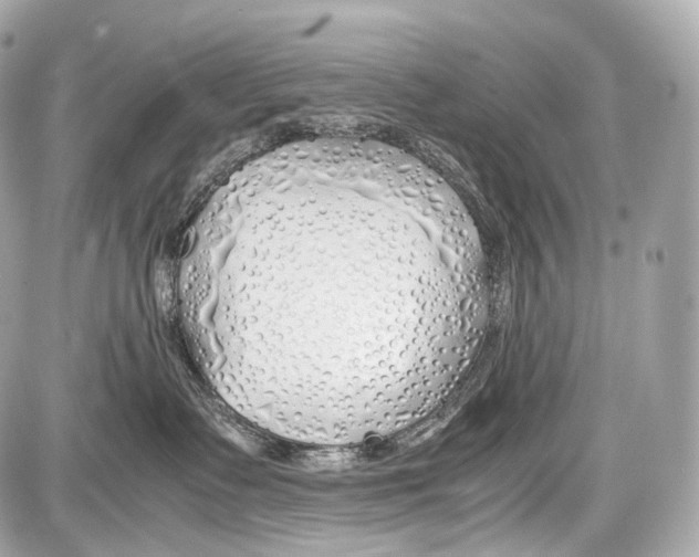 X0000086960335200705141632