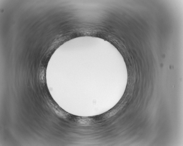 X0000086960336200705141632