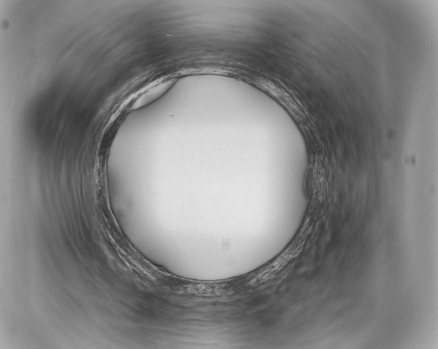 X0000086960338200705141631