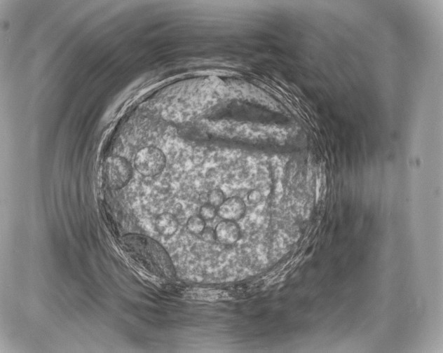 X0000086960339200705141631