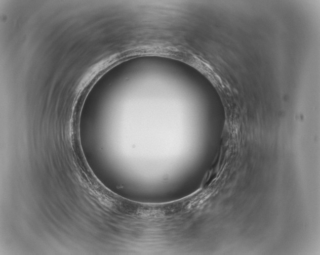 X0000086960340200705141631