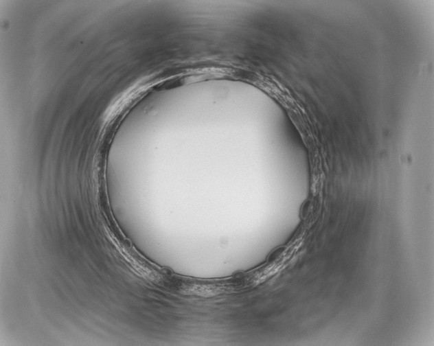 X0000086960341200705141631