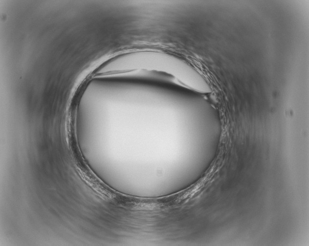 X0000086960342200705141631