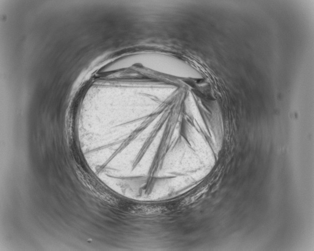 X0000086960343200705141631