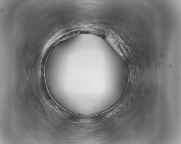 X0000086960344200705141631