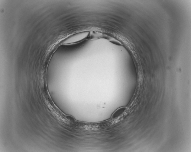 X0000086960345200705141631