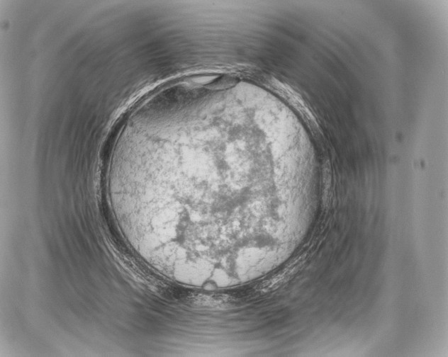 X0000086960346200705141631