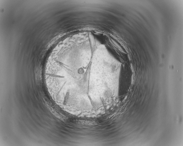 X0000086960347200705141631