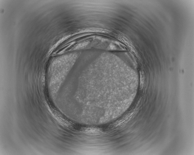 X0000086960348200705141631