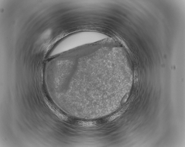 X0000086960349200705141631