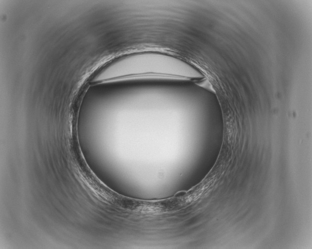 X0000086960350200705141631