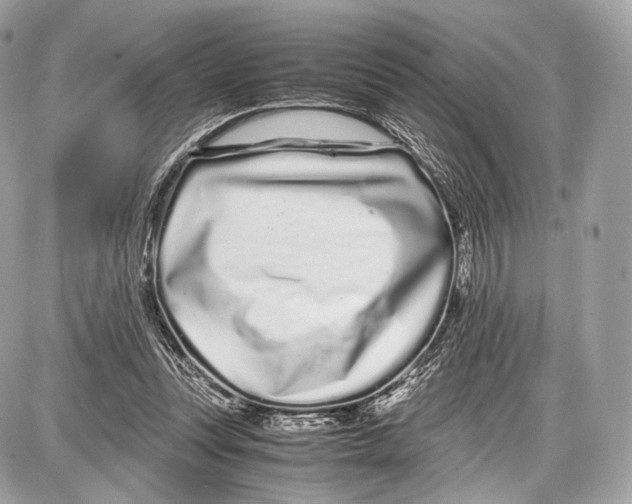 X0000086960351200705141631