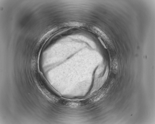 X0000086960352200705141631