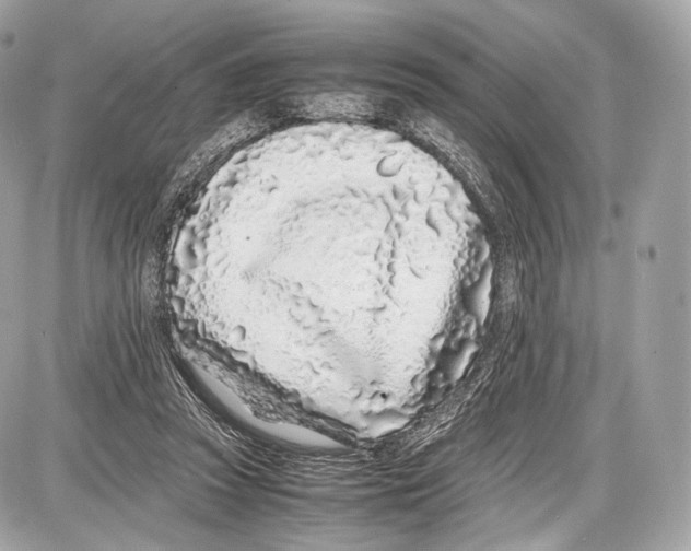 X0000086960353200705141631