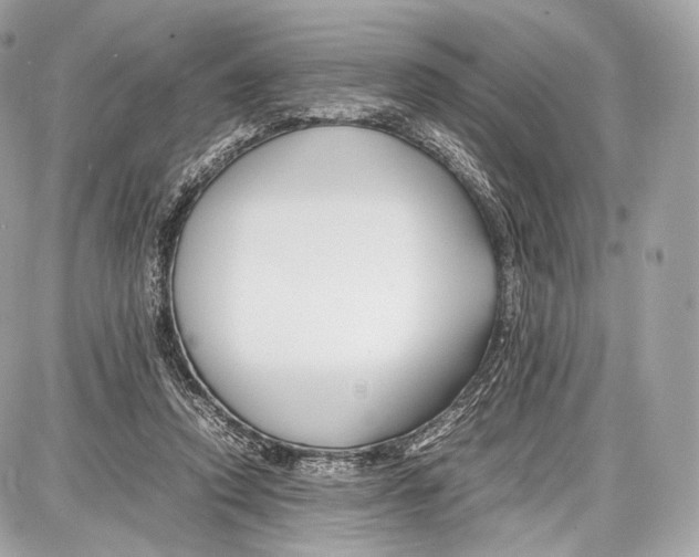 X0000086960354200705141631