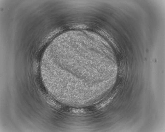 X0000086960355200705141631