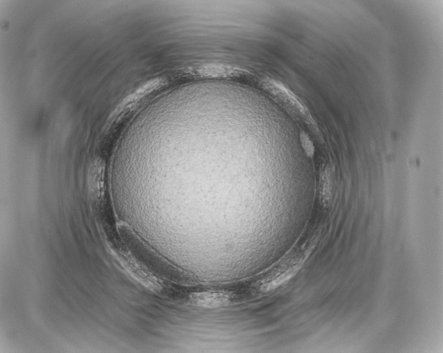 X0000086960356200705141631