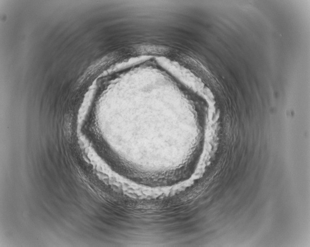 X0000086960357200705141631