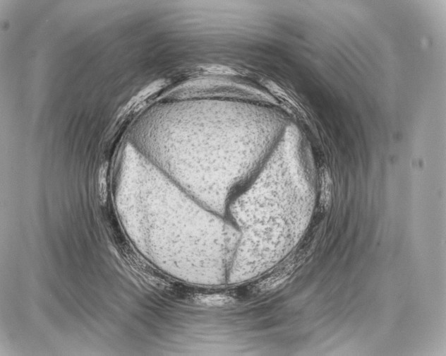 X0000086960360200705141631