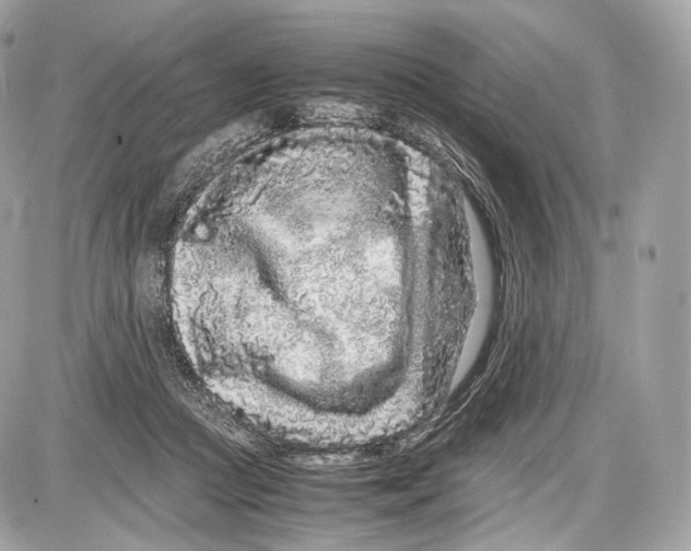 X0000086960361200705141632