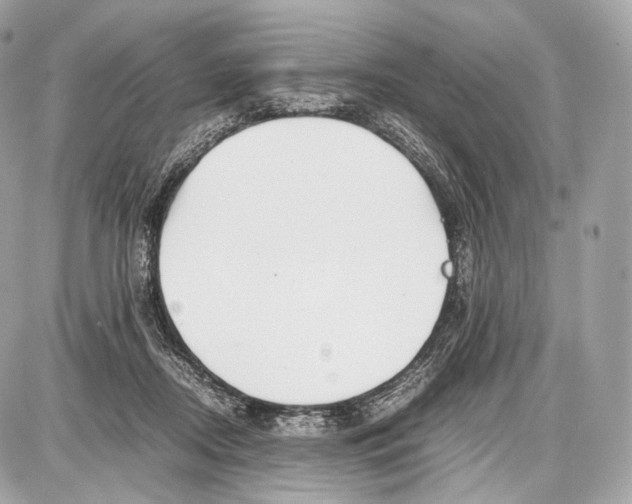 X0000086960362200705141632