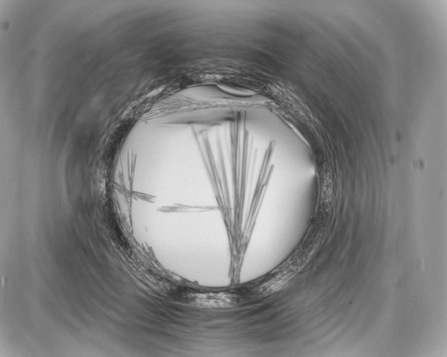 X0000086960363200705141632