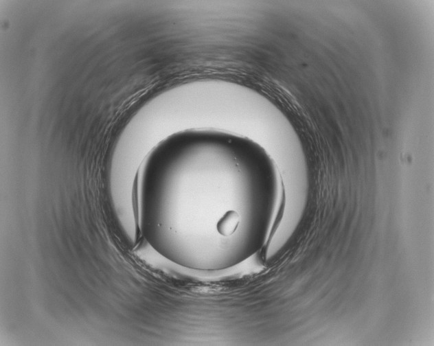 X0000086960364200705141632