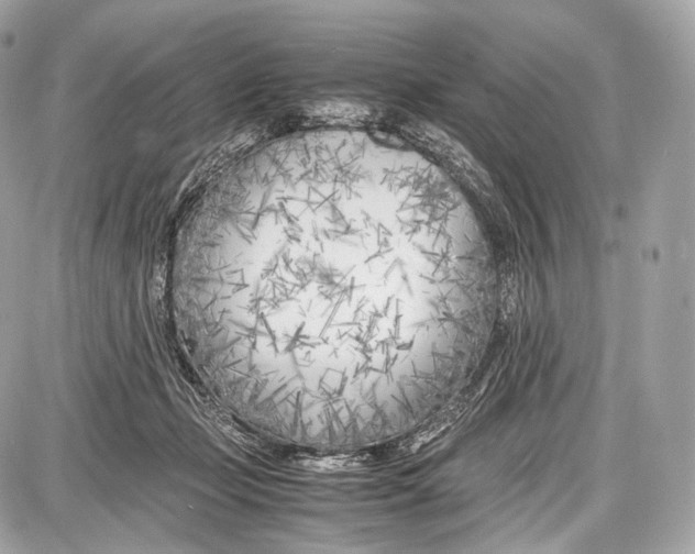 X0000086960365200705141632