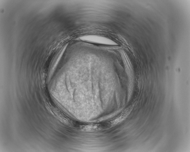 X0000086960366200705141632