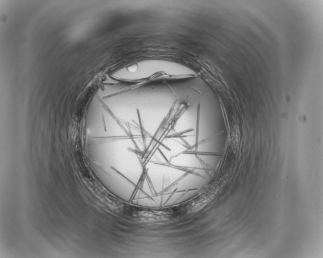 X0000086960367200705141632