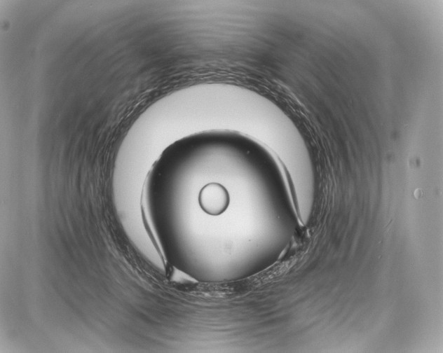 X0000086960368200705141632