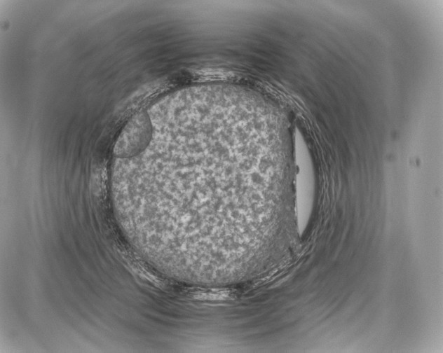 X0000086960369200705141632