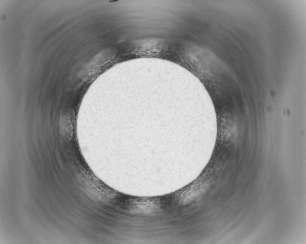 X0000086960370200705141632