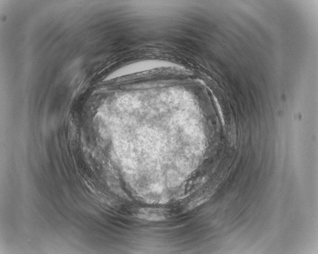 X0000086960371200705141632