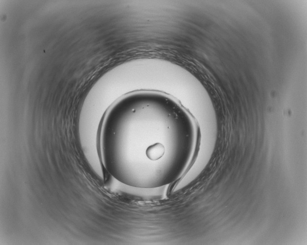 X0000086960372200705141632