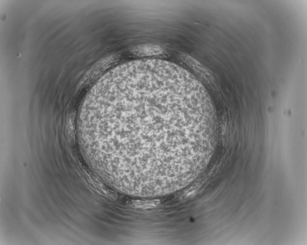 X0000086960373200705141632