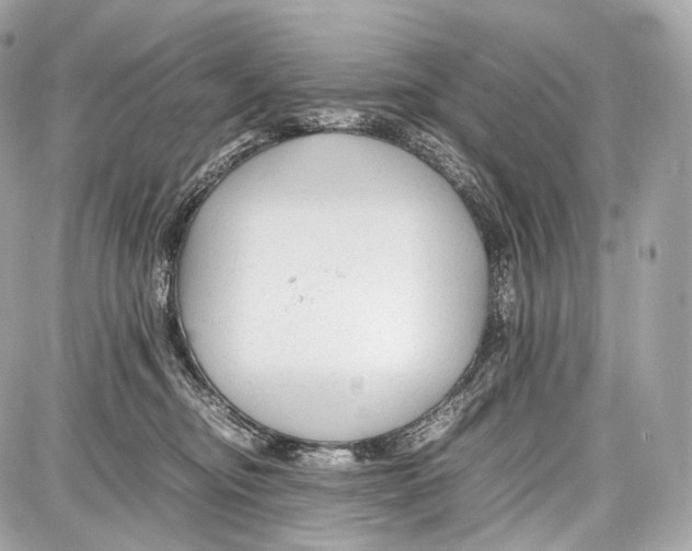 X0000086960374200705141632