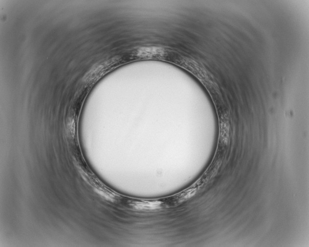 X0000086960375200705141632