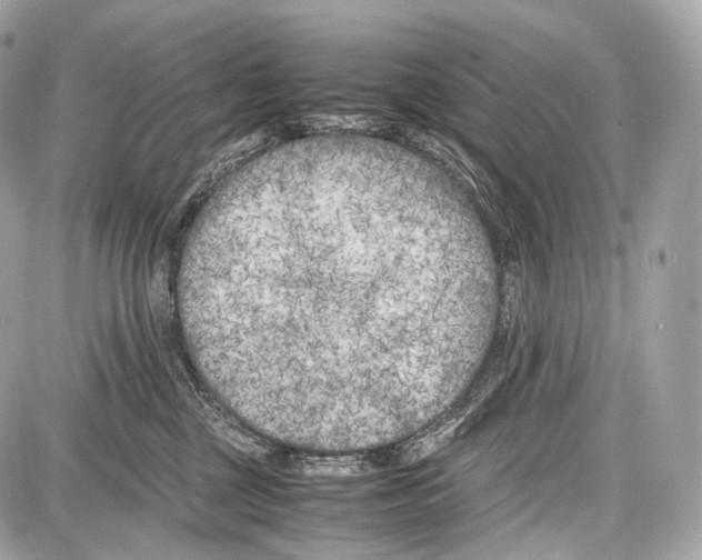 X0000086960377200705141632