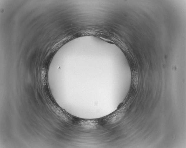 X0000086960378200705141632