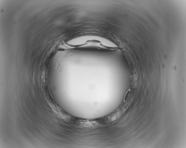 X0000086960379200705141632