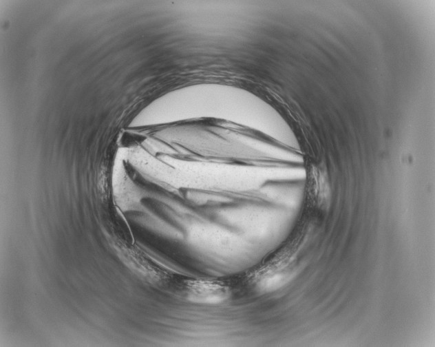 X0000086960380200705141632