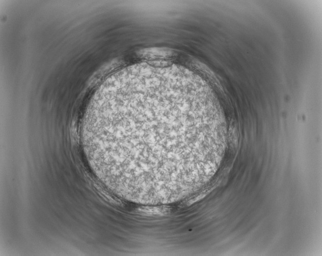 X0000086960381200705141632