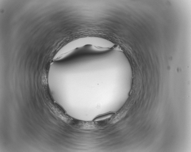 X0000086960384200705141632