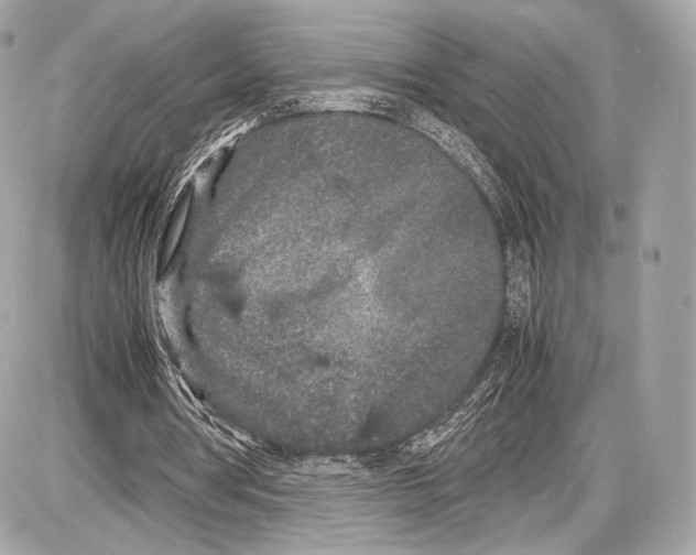 X0000086960386200705141631